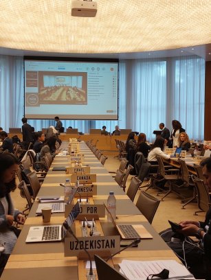 Exciting updates from the WTO Trade Facilitation Committee from October 22 to 24! Exciting updates from the WTO Trade Facilitation Committee from October 22 to 24!